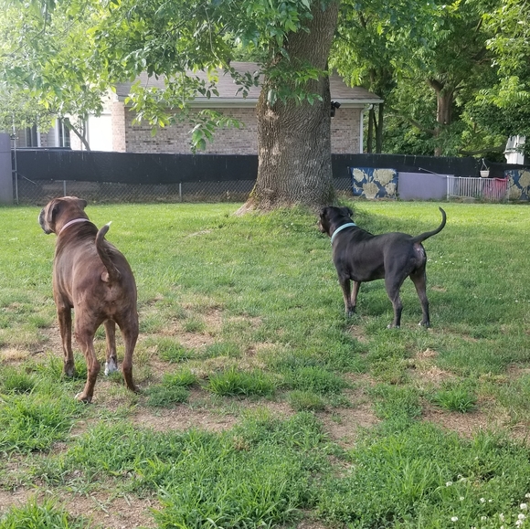 Meet your Posher, Laura - Picture 5 of 5